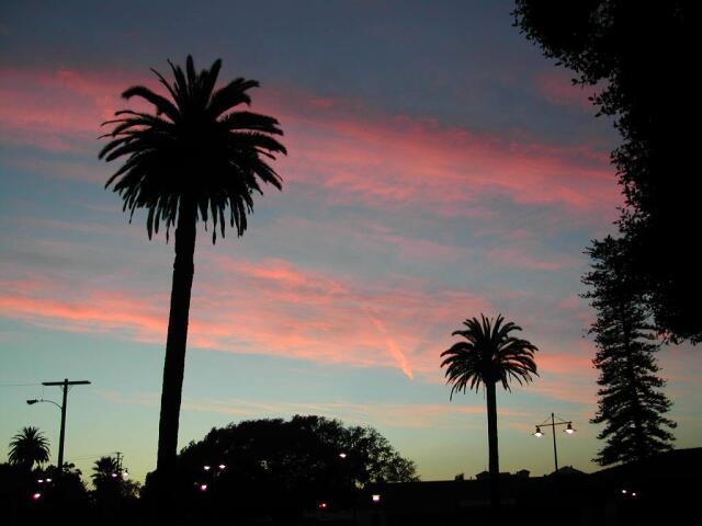 L.A. Sunset