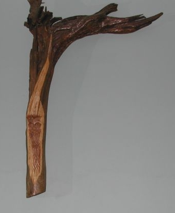Tree Spirit